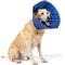 Show in main carousel: CP Basics Caring Cone E-Collar Dog Collar, X-Large slide 1 of 7