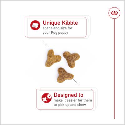 Show full view: Royal Canin Breed Health Nutrition Pug Puppy Dry Dog Food, 2.5-lb bag slide 4 of 13