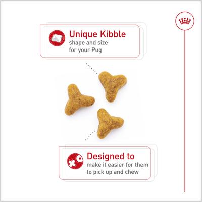 Show full view: Royal Canin Breed Health Nutrition Pug Adult Dry Dog Food, 10-lb bag slide 3 of 13