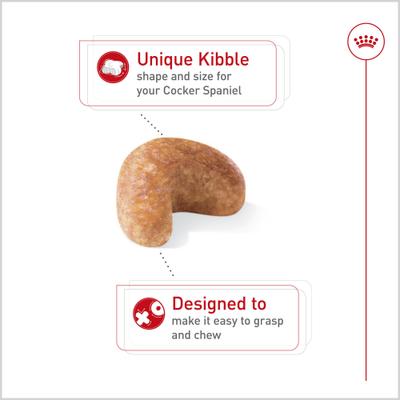 Show full view: Royal Canin Breed Health Nutrition Cocker Spaniel Adult Dry Dog Food, 6-lb bag slide 3 of 13