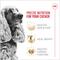 Show in main carousel: Royal Canin Breed Health Nutrition Cocker Spaniel Adult Dry Dog Food, 6-lb bag slide 4 of 13