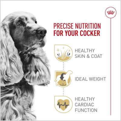 Show full view: Royal Canin Breed Health Nutrition Cocker Spaniel Adult Dry Dog Food, 6-lb bag slide 4 of 13