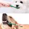 Show in main carousel: Pet Republique Small 1/4-in Pointed Brush, 1/4-in Flat Brush, 3/8-in Regular Brush Toothbrush Kit for Miniature Breed Dogs & Cats, 3 count slide 5 of 7