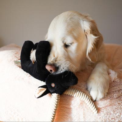 Show full view: SteelDog USA Barnyard Baller Billy Goat Crinkle Plush Dog Toy slide 3 of 8