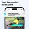 Show in main carousel: Birdfy Rookie Smart Bird Feeder with Camera, Blue slide 3 of 8