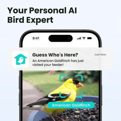 Show full view: Birdfy Rookie Smart Bird Feeder with Camera, Blue slide 3 of 8