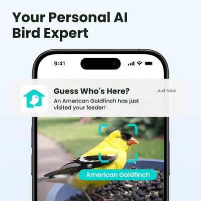 Show full view: Birdfy Rookie Smart Bird Feeder with Camera, Blue slide 3 of 7