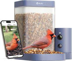 Birdfy Rookie Smart Bird Feeder with Camera, Blue