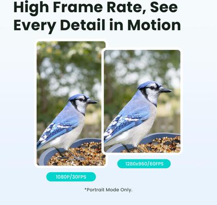 Show full view: Birdfy Rookie Smart Bird Feeder with Camera, Blue slide 2 of 8