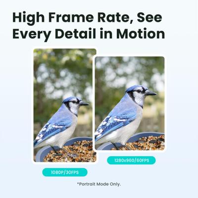 Show full view: Birdfy Rookie Smart Bird Feeder with Camera, Blue slide 2 of 7