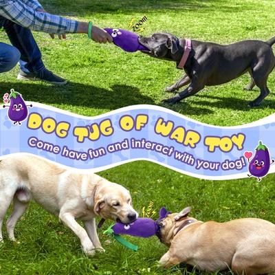 Show full view: FUUFOME Eggplant Plush Dog Toy, Purple slide 6 of 8