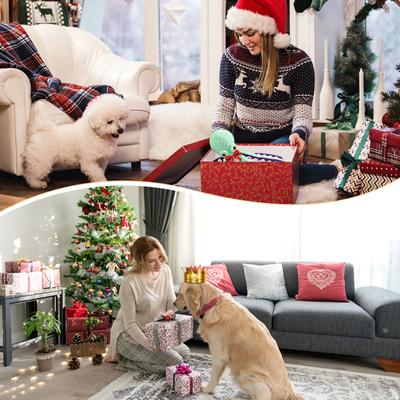 Show full view: FUUFOME 13.5-in Plush Dog Toy, Green slide 8 of 9