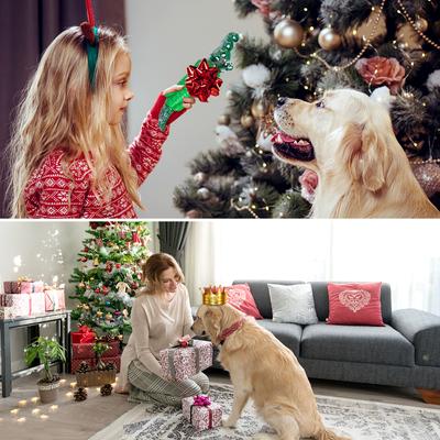 Show full view: FUUFOME Alligator Chew Dog Toy, Green slide 8 of 10