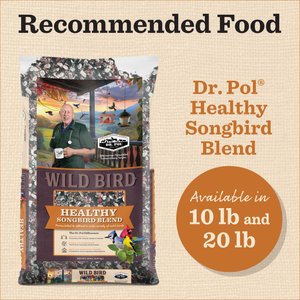 Dr. Pol Cedar Gazebo Bird Feeder