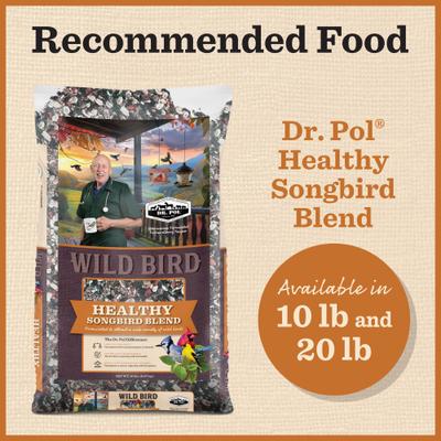 Show full view: Dr. Pol Cedar Gazebo Bird Feeder slide 6 of 9