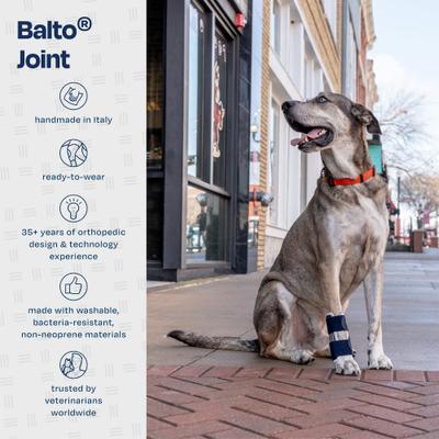 Show full view: Balto Joint Carpal Dog Compression Band, X-Large slide 6 of 9