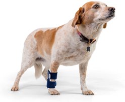 Balto Joint Carpal Dog Compression Band, X-Small slide 1 of 8