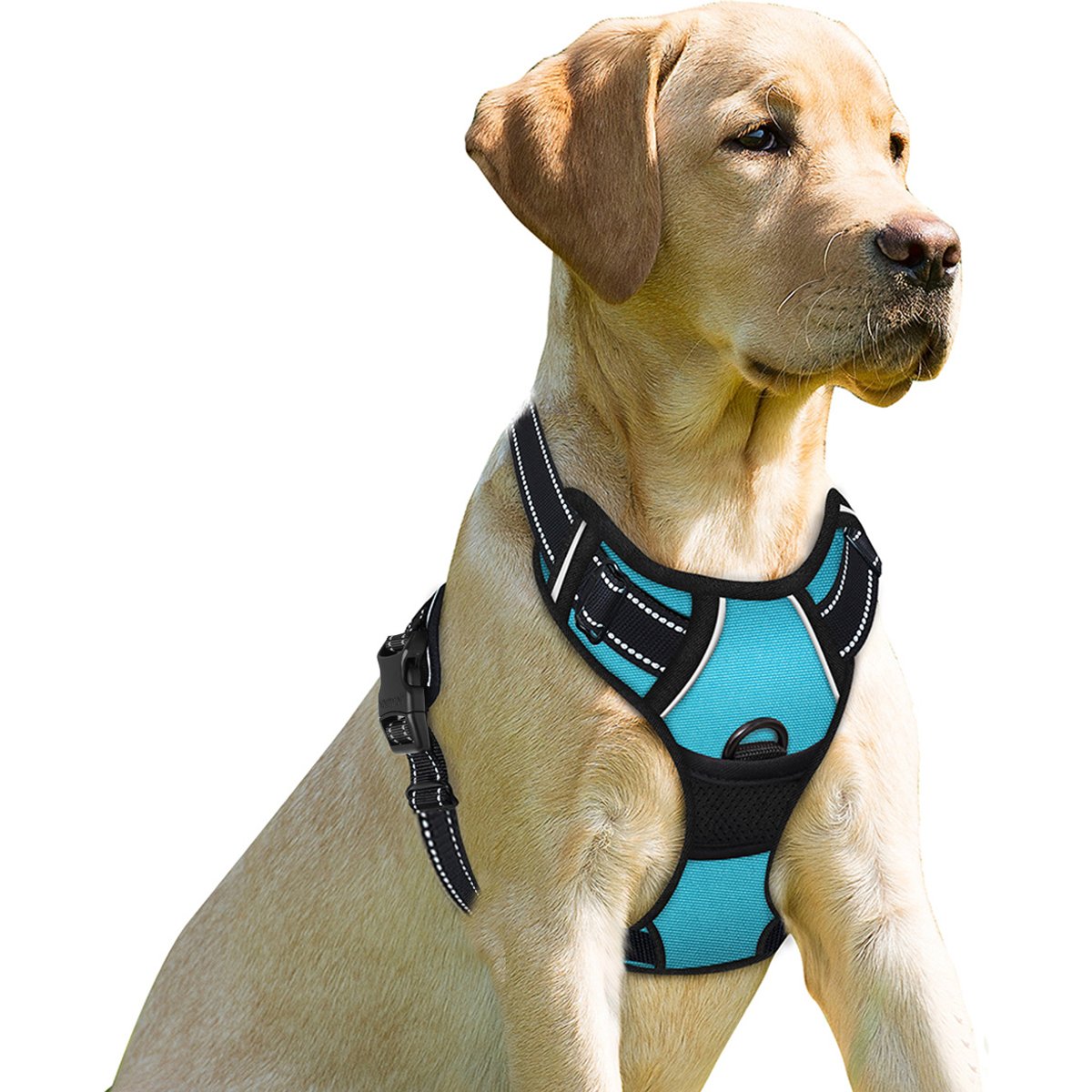 BARKBAY Front Clip Reflective No Pull Dog Harness, Blue, Small: 19.5 to 26-in chest