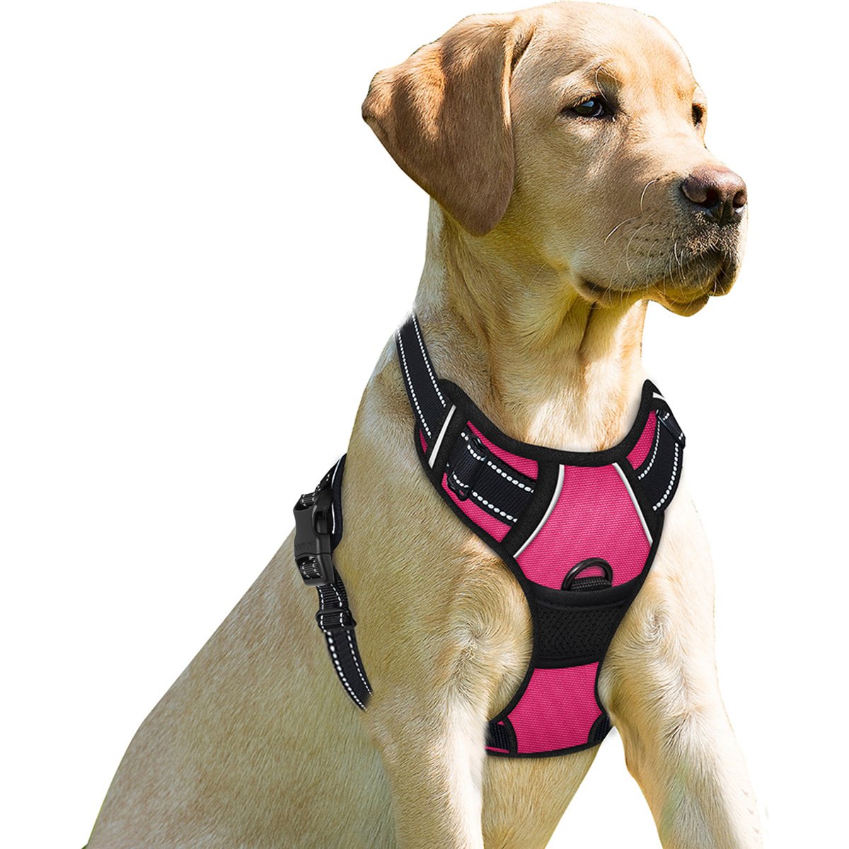 BARKBAY Front Clip Reflective No Pull Dog Harness, Pink, X-Small: 15.5 to 19.5-in chest