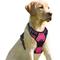 Show in main carousel: BARKBAY Front Clip Reflective No Pull Dog Harness, Pink, Medium: 22.5 to 28-in chest slide 1 of 12