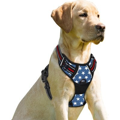 BARKBAY BARKBAY Front Clip Reflective No Pull Dog Harness, Star, Small: 19.5 to 26-in chest