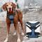 Show in main carousel: BARKBAY Front Clip Reflective No Pull Dog Harness, Navy, Large: 24.5 to 32.5-in chest slide 7 of 12