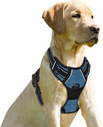 BARKBAY Front Clip Reflective No Pull Dog Harness, Navy, Small: 19.5 to 26-in chest