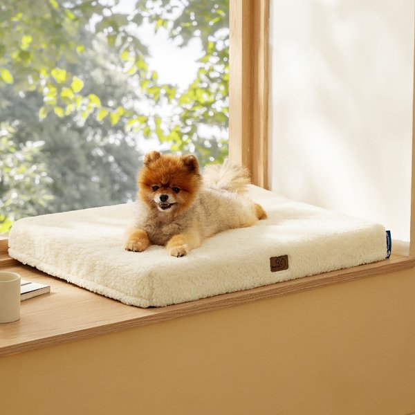 Show full view: Bedsure Self Warming Orthopedic Dog & Cat Bed, Cream, Medium slide 7 of 7