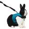 Show in main carousel: Kaytee Comfort Harness & Stretchy Leash, X-Large, Assorted Colors slide 4 of 4