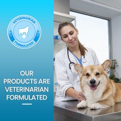 Replenish Urinary Tract Dog Chew Treats, 60 count slide 2 of 7