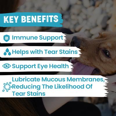 Show full view: Replenish Dr. Rachel's Tear Stain Remover Supplement Dog Chew Treats, 60 count slide 4 of 9