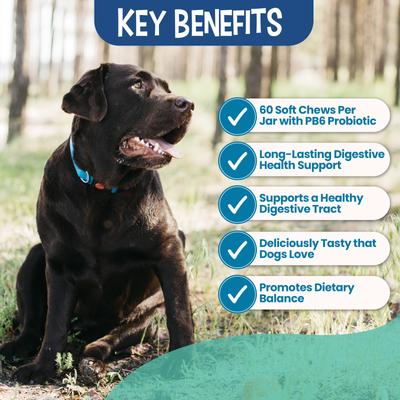 Show full view: Replenish Probiotic & Digestive Enzyme Gut Health Supplements Dog Chew Treats, 60 count slide 4 of 8