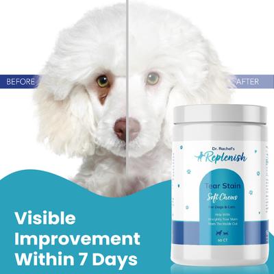 Show full view: Replenish Dr. Rachel's Tear Stain Remover Supplement Dog Chew Treats, 60 count slide 6 of 9