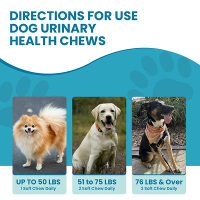 Show full view: Replenish Urinary Tract Dog Chew Treats, 60 count slide 8 of 8