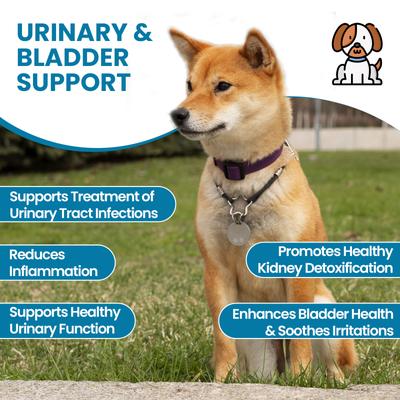 Show full view: Replenish Urinary Tract Dog Chew Treats, 60 count slide 3 of 8