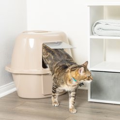 Van Ness Enclosed Corner Cat Litter Box, Beige, Large