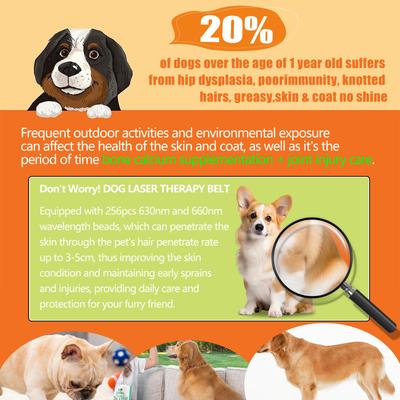 Show full view: PUPCA Red Infrared Light Therapy Belt for Dogs & Cats slide 5 of 10