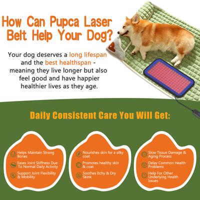 Show full view: PUPCA Red Infrared Light Therapy Belt for Dogs & Cats slide 6 of 10