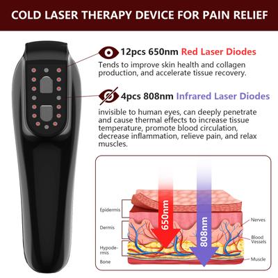 Show full view: PUPCA 4 Piece Cold Laser Red Light Therapy Device for Dogs & Cats slide 4 of 12
