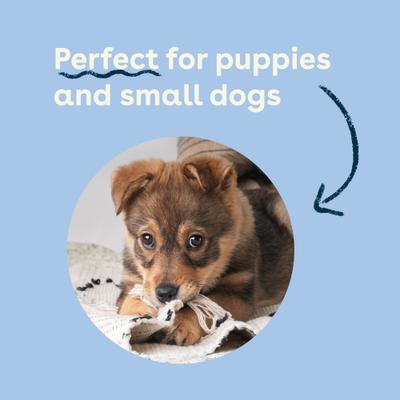 Show full view: Pupford Mini Beef Dog Bully Sticks, 8-oz bag slide 6 of 7