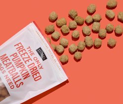 Natural Rapport The Only Pumpkin Meatballs Dog Freeze Treats, 4-oz bag slide 2 of 6