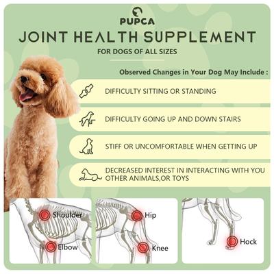 Show full view: PUPCA Cold Laser Portbale Red Light Therapy Device for Dogs & Cats slide 3 of 11