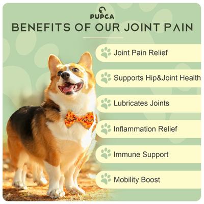 Show full view: PUPCA Cold Laser Portbale Red Light Therapy Device for Dogs & Cats slide 8 of 11