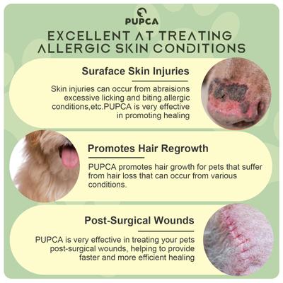 Show full view: PUPCA Cold Laser Portbale Red Light Therapy Device for Dogs & Cats slide 5 of 11