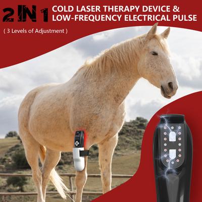 Show full view: PUPCA 4 Piece Cold Laser Red Light Therapy Device for Dogs & Cats slide 3 of 12