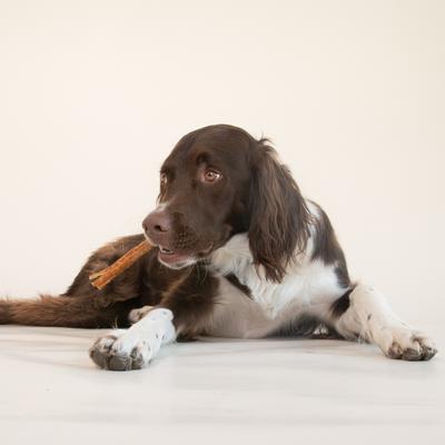 Show full view: Pupford Mini Beef Dog Bully Sticks, 8-oz bag slide 5 of 7