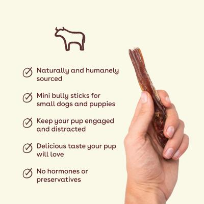 Show full view: Pupford Mini Beef Dog Bully Sticks, 8-oz bag slide 4 of 7