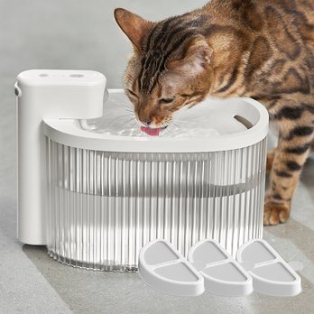 Purrfect World 2.5L / 84Oz Pet Water Fountain – Blue ABS – Carbon & Ion Exchange Filter – BPA-Free
