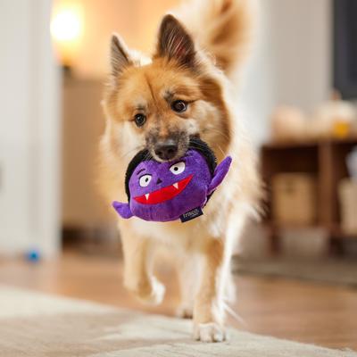 Show full view: Frisco Halloween Vampire Round Plush Squeaky Dog Toy, Medium slide 3 of 7