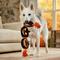 Show in main carousel: Frisco Halloween Pumpkins Plush with Rope Squeaky Dog Toy, Large/X-Large slide 3 of 7